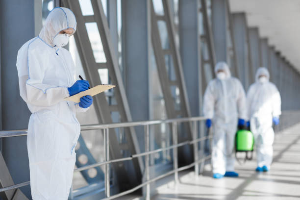 Best Residential Mold Inspection & Testing  in Santa Nella, CA