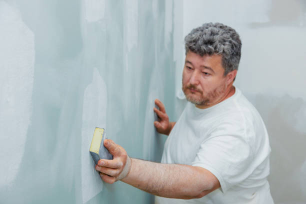 Santa Nella, CA Mold Removal Company